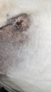 24_02_2025.jpg (854.71 KiB) 720 mal betrachtet 24.02.2025