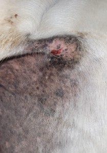 27_02_2025.jpg (745.64 KiB) 720 mal betrachtet 27.02.2025