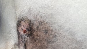 20250302_141404.jpg (2.67 MiB) 657 mal betrachtet 02.03.2025