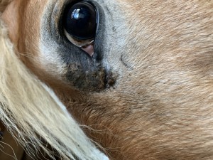 IMG_4833.jpeg