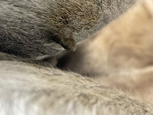 IMG_8091.jpeg