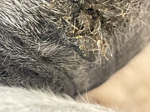 IMG_8128.jpeg