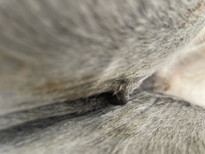 IMG_8187.jpeg