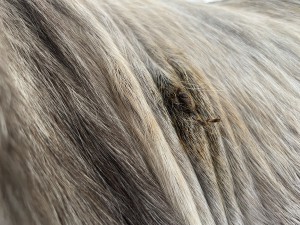 IMG_8189.jpeg
