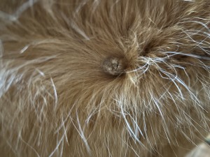 IMG_0637.jpeg
