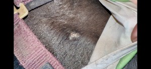 IMG_8191.jpeg
