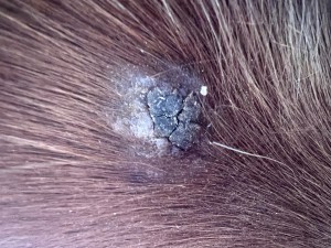 IMG_1935.jpeg (2.36 MiB) 717 mal betrachtet 06.05