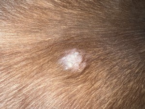 IMG_2023.jpeg (3.51 MiB) 721 mal betrachtet 09.05.