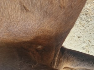 20250519_130044.jpg