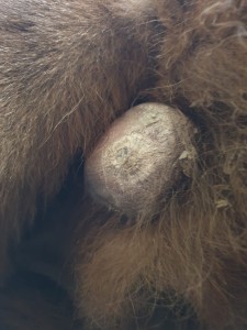 IMG-20250513-WA0007.jpg (243.64 KiB) 1525 mal betrachtet Mai 2025