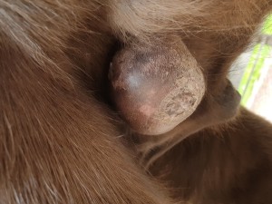 20250626_115728.jpg (3.79 MiB) 1525 mal betrachtet 27 Juni 2025