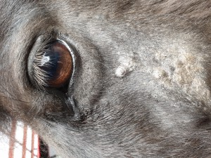 20250626_115604.jpg (6.67 MiB) 1525 mal betrachtet 27 Juni 2025