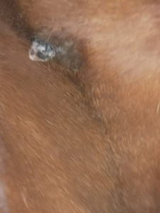 Foto vom 29.06.25