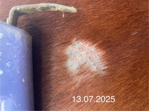 IMG_4478.jpeg (1.1 MiB) 1183 mal betrachtet 13.07.2025