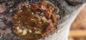 20250816_103628.jpg (1.25 MiB) 350 mal betrachtet 16.8.25