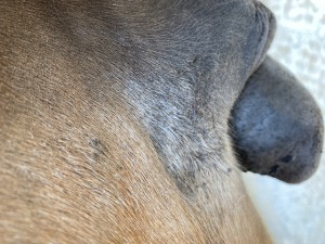 IMG_0783.jpeg