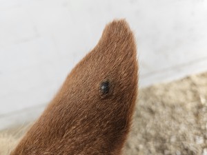 20250802_110043.jpg