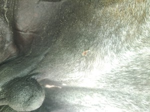 20250829_152916.jpg