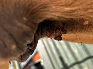 IMG_6769.jpeg