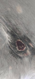 IMG-20250918-WA0000.jpg (79.56 KiB) 1007 mal betrachtet 18.9.25