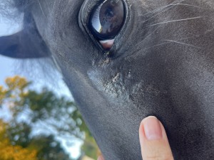 IMG_1406.jpeg