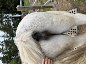 IMG_2513.jpeg