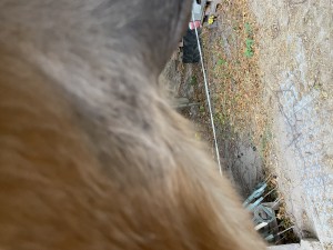 IMG_0842.jpeg