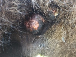 18 Oktober 2025, 1: 1 mit CompX