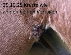 25-10-25.jpg