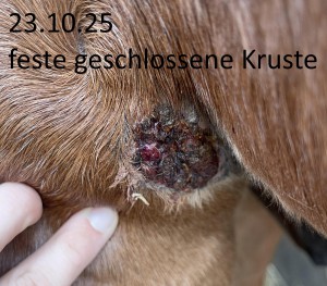25-10-23.jpg