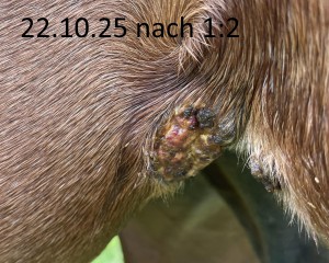 25-10-22.jpg