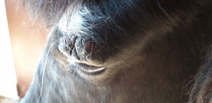 20190419_093858.jpg (3.05 MiB) 5493 mal betrachtet von April