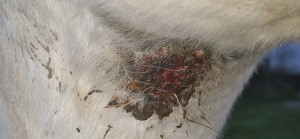 20251104_164802.jpg (1.39 MiB) 635 mal betrachtet 4.11.25