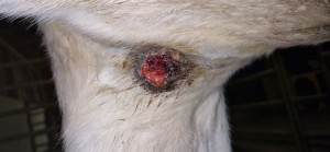 20251109_172643.jpg (2.06 MiB) 599 mal betrachtet 9.11.25