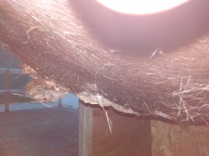 IMG_20190426_203922.jpg (2.28 MiB) 3845 mal betrachtet Heute Abend andere Seite