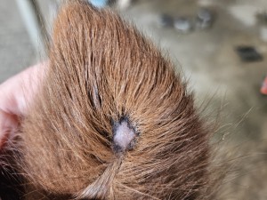 so sieht es heute aus