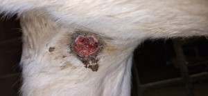 20251114_172406.jpg (1.86 MiB) 937 mal betrachtet 14.11.25