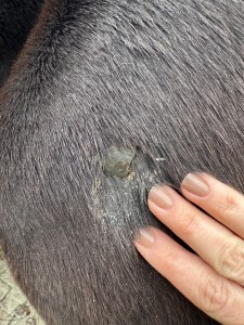 Und das an der Schulter, hier liegt als die Decke etwas auf