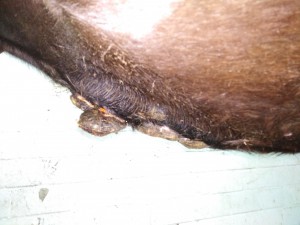 IMG_20190427_141122.jpg (1.85 MiB) 3840 mal betrachtet Seite1