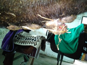 IMG_20190427_141149.jpg (2.55 MiB) 3837 mal betrachtet Andere Seite