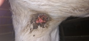 20251129_165553.jpg (2.01 MiB) 895 mal betrachtet 29.11.25