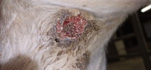 20251202_174549.jpg (2.14 MiB) 876 mal betrachtet 2.12 25