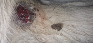 20251210_153034.jpg (2.12 MiB) 672 mal betrachtet 10.12.25