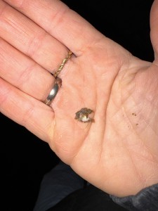 Das Teil is abgefallen