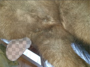 Screenshot_20251220_164709_Photo Editor.jpg