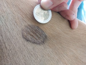 April 2025, vor Behandlung