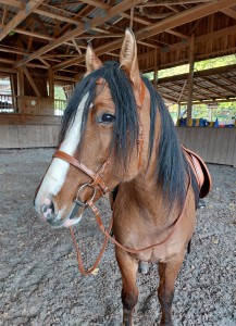 Hallo, um mich geht es ;-)