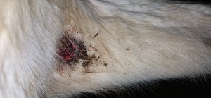 20251230_174256.jpg (2.43 MiB) 407 mal betrachtet 30.12.25