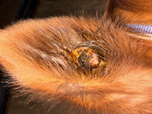 05.01.26 vor dem scheuern