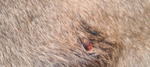 Hat sich was verändert?hmmmm